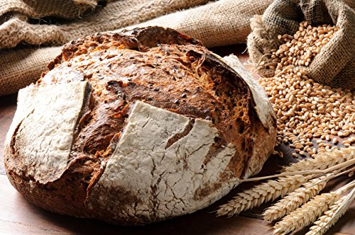 Bio Sauerteig (Roggensauer) | aus 100% Demeter Roggenmehl | frischer Natursauerteig – perfekt für Brote oder als Anstellgut – Inhalt: 300g Roggensauerteig - 5