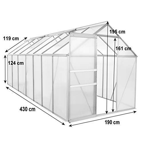 Zelsius Aluminium Gewächshaus für den Garten | inklusive Fundament | 430 x 190 cm | 6 mm Platten | Vielseitig nutzbar als Treibhaus, Tomatenhaus, Frühbeet und Pflanzenhaus - 5