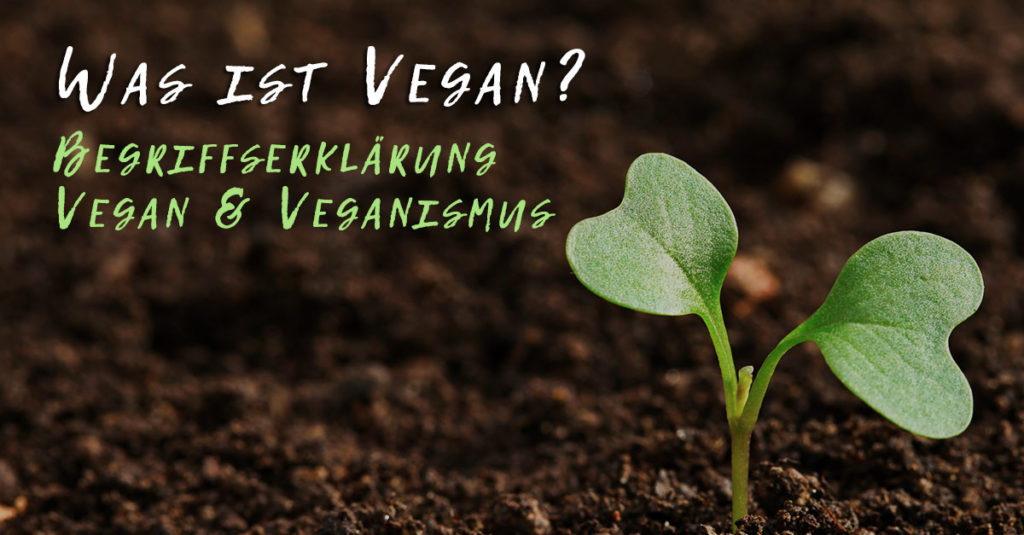 Was Ist Vegan? Begriffserklärung Vegan & Veganismus | VeggieSearch