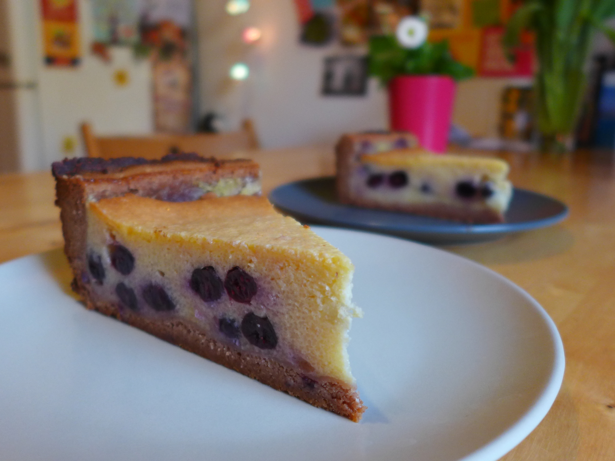 Veganer Ksekuchen Mit Seidentofu Und Blaubeeren Veggiesearch